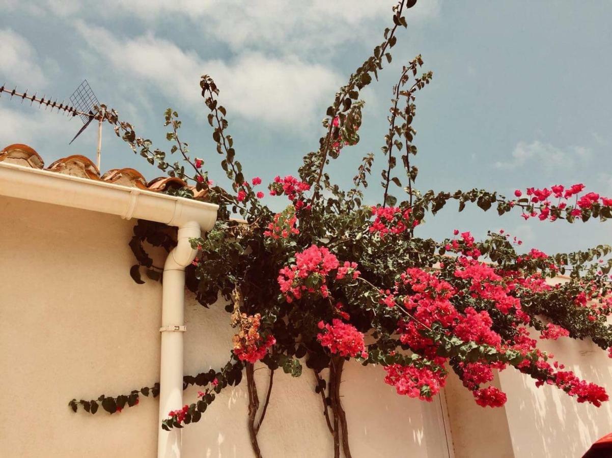 Lovely Apartment Old Town Denia Εξωτερικό φωτογραφία